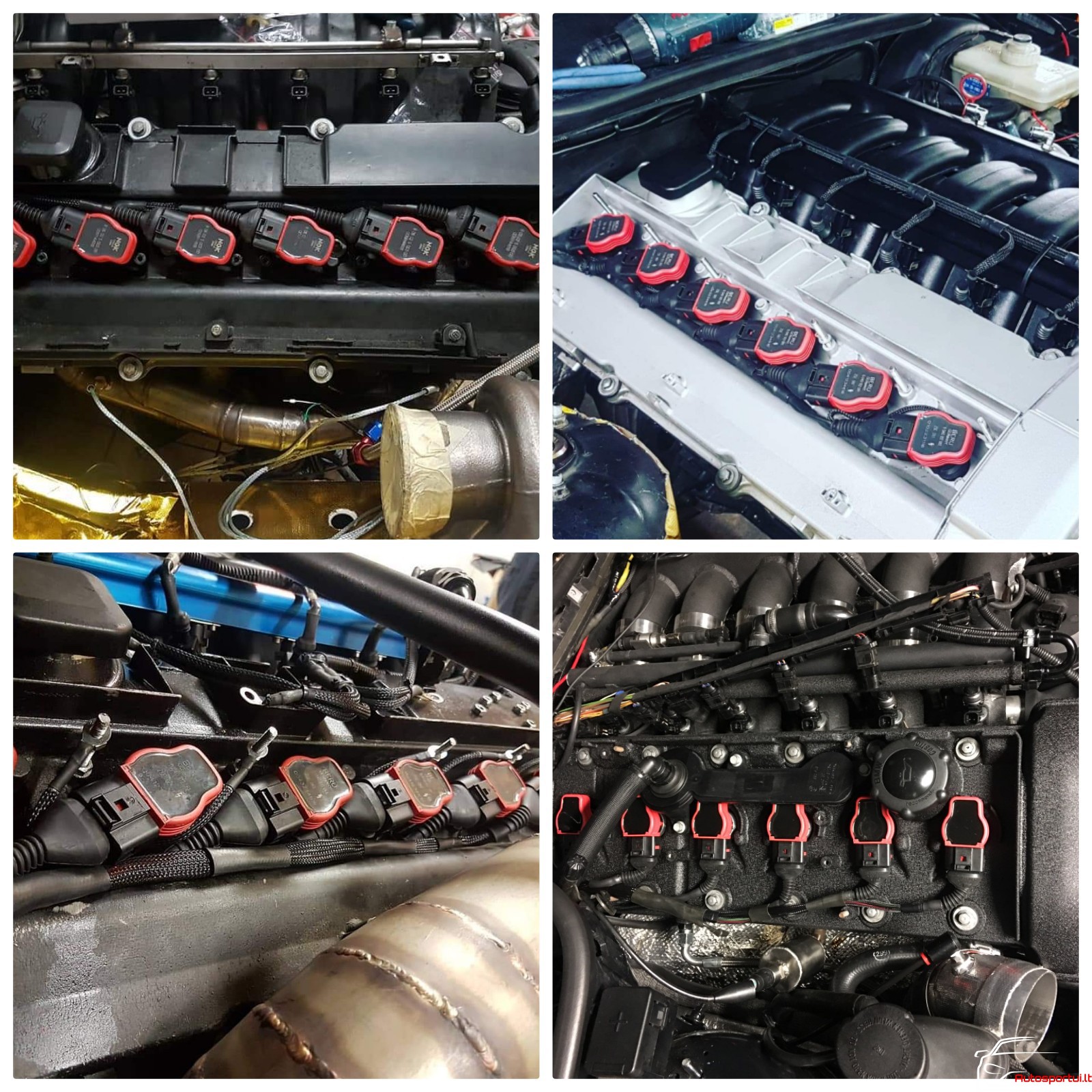 M50b25 motorsport wiring with VAG