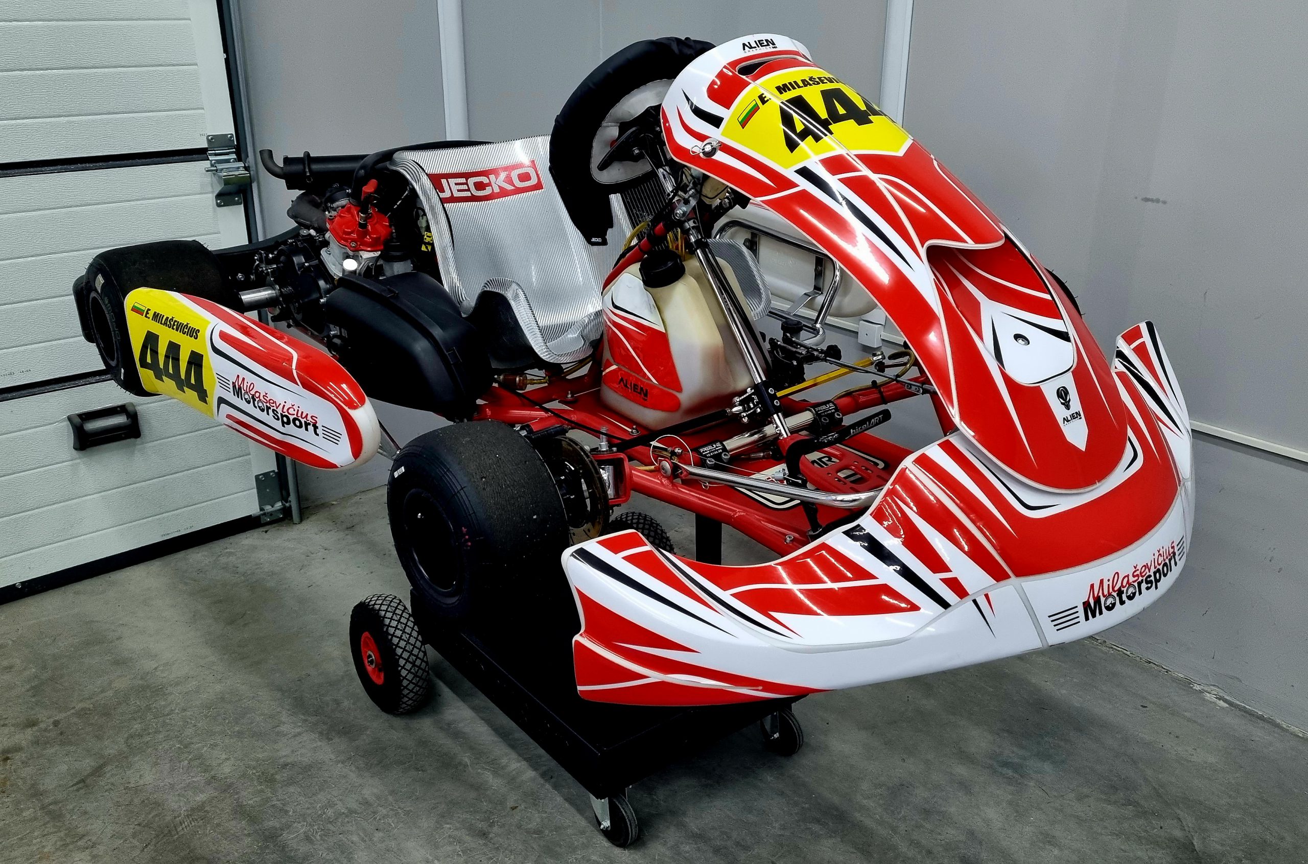 Birel Art DD2 125CCM