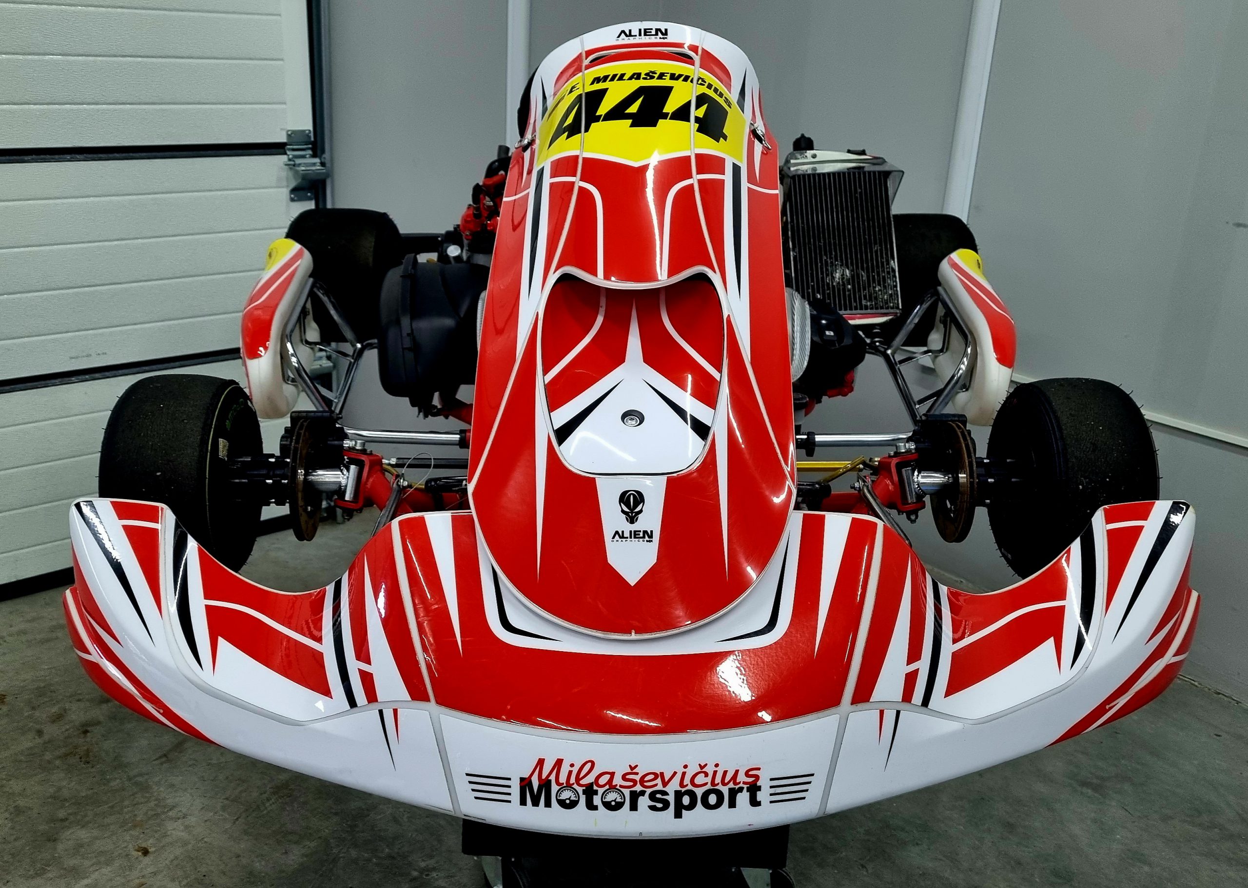 Birel Art DD2 125CCM