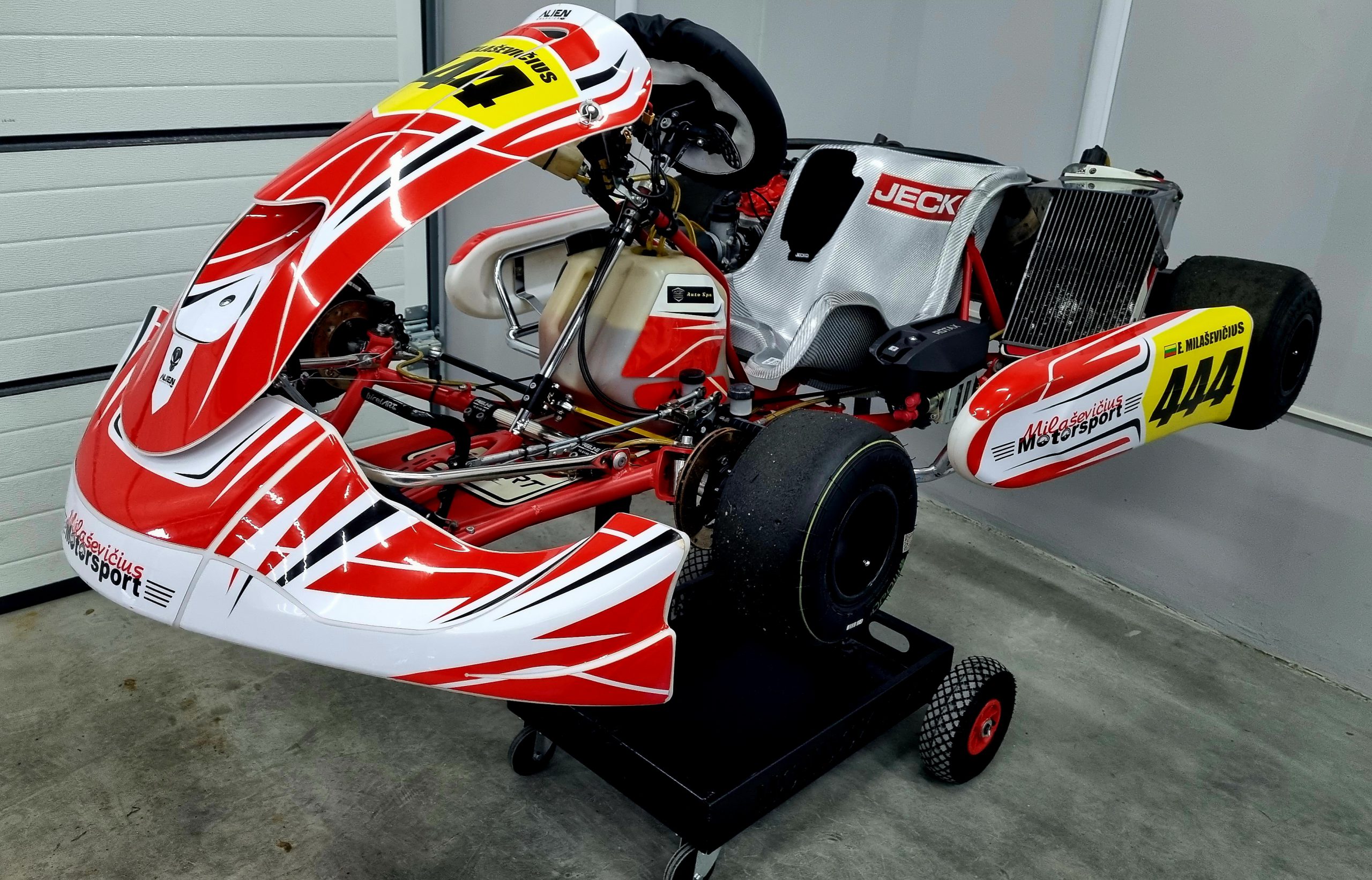 Birel Art DD2 125CCM