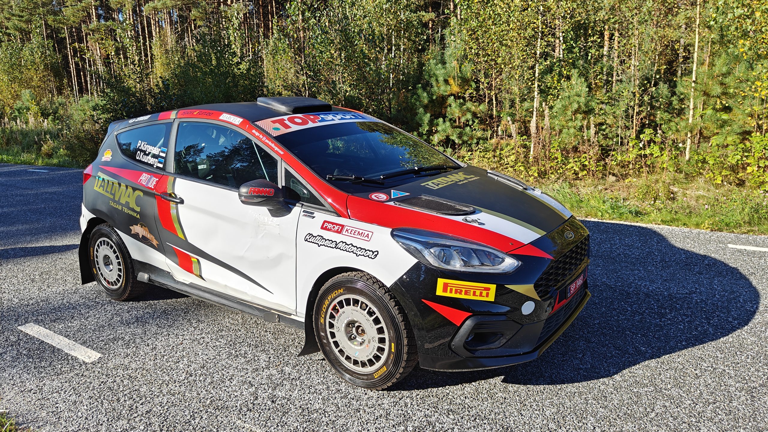 Ford Fiesta Rally 4